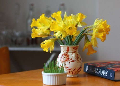 1441155952-daffodils