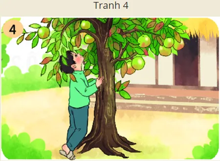 Trái vú sữa ngọt ngào, căng mọng tượng trưng cho dòng sữa mẹ hiền từ, biểu tượng của tình yêu thương vô bờ bến dành cho con