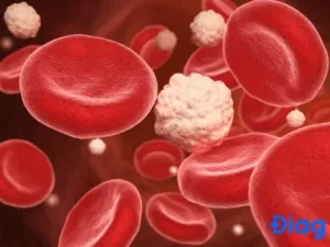 Hình ảnh hoạt hình minh họa khoảnh khắc căng thẳng và kịch tính khi các con giáp vượt qua thử thách