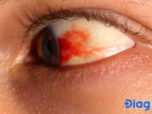 Góc nhìn chi tiết về thiết kế hình ảnh và màu sắc trong các bộ phim hoạt hình sự tích 12 con giáp