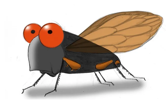 Sự Tích Ve Sầu: Câu Chuyện Cảm Động Về Tình Anh Em Bị Lãng Quên