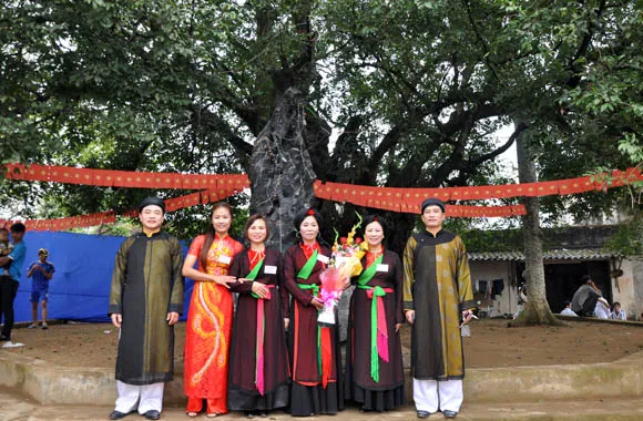 Nghi thức long trọng công nhận cây thị là Cây Di sản Việt Nam tại đình làng Tiến Ân