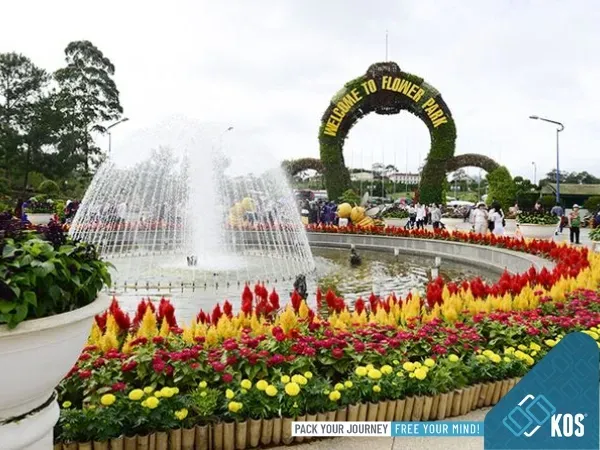 Đà Lạt mộng mơ với khí hậu ôn hòa và cảnh quan yên bình, nơi lý tưởng để suy ngẫm về giá trị truyền thống và tình thân gia đình