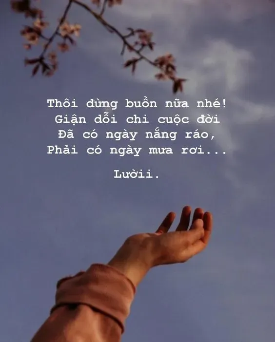 Vẻ đẹp thanh khiết của thiên nga, đại diện cho tình yêu và sự hy sinh của các anh em trong sự tích bầy chim thiên nga.