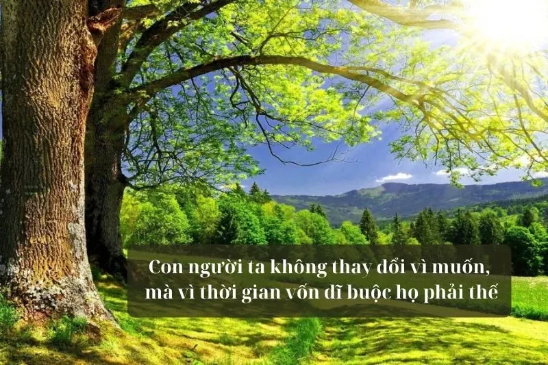 Người đàn ông nhìn xa xăm chiêm nghiệm về ý nghĩa phong thủy và bản chất bí ẩn của loài dơi