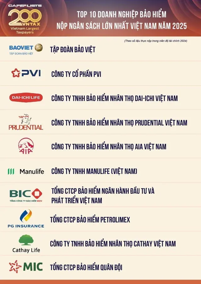 Hình ảnh Cá Chép vượt thác, minh họa sự nỗ lực phi thường và ý chí quyết tâm vượt qua mọi thử thách để hóa rồng.