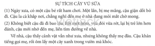 Hình ảnh minh họa Sự tích cây vú sữa tiếng Việt lớp 2 trang 118, cậu bé quay về ôm cây khóc và cây ra quả ngọt tượng trưng cho tình mẹ