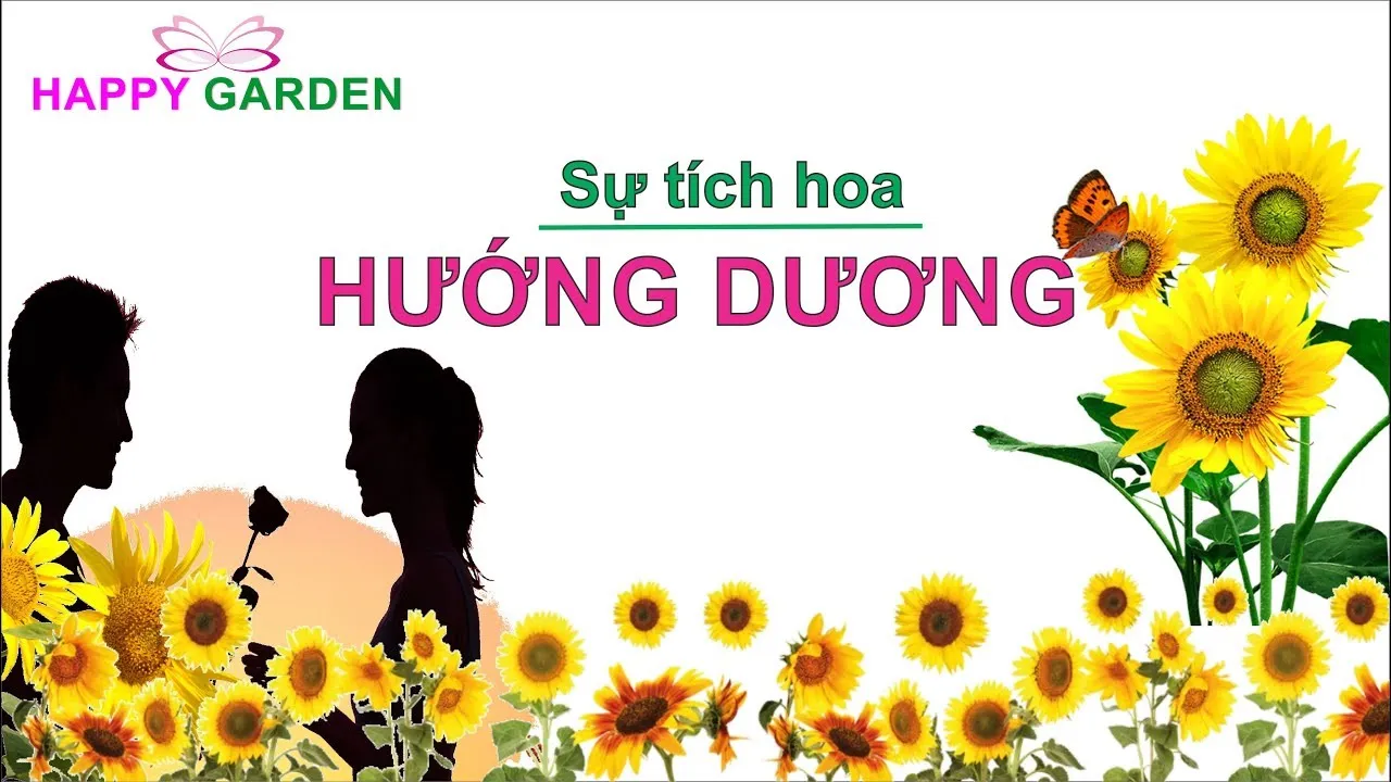 Sự Tích Về Hoa Hướng Dương: Truyền Thuyết Về Tình Yêu Chung Thủy Và Sự Hy Sinh Cao Cả