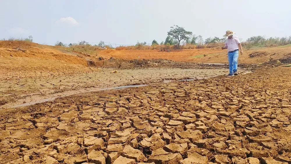Khung cảnh khô cằn của đất đai, tượng trưng cho những khó khăn và thử thách mà người em hiếu thảo đã phải đối mặt trong sự tích con tê tê.