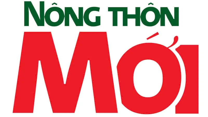 Thờ cúng Thổ Địa ở Việt Nam: Tín ngưỡng dân gian cầu mong đất đai màu mỡ và cuộc sống bình an.