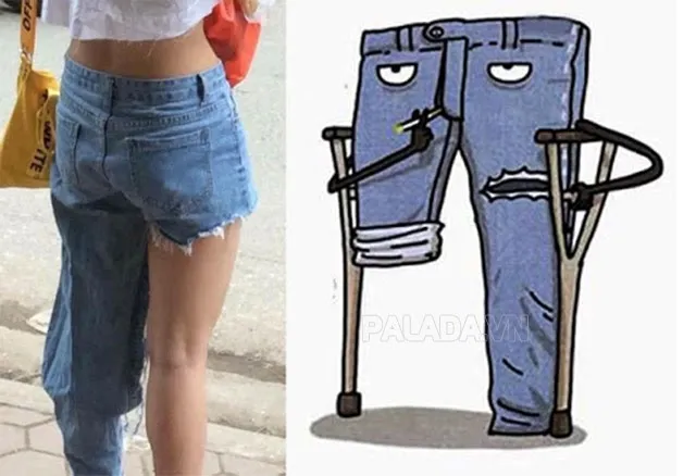 quần hòe là nguồn gốc của quần què trong phương ngữ Nam Bộ