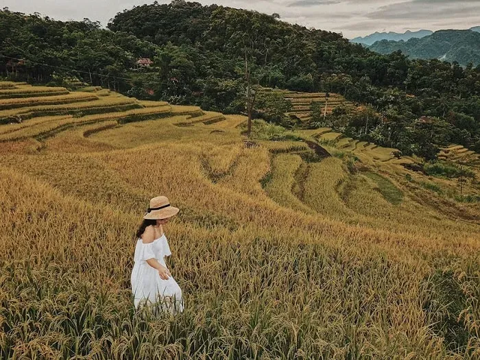 Ruộng bậc thang Mù Cang Chải kỳ vĩ, một trong các điểm du lịch việt nam nên đi ngắm cảnh