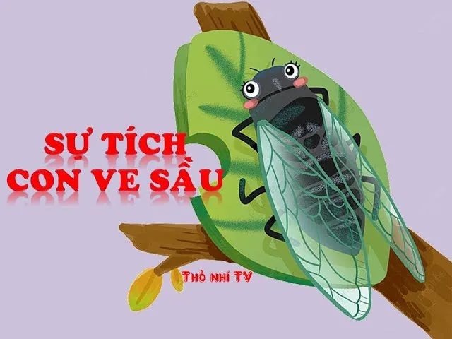 Sự Tích Ve Sầu: Câu Chuyện Cảm Động Về Tình Anh Em Bị Lãng Quên