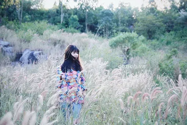 Vẻ đẹp vương giả của hoa mẫu đơn Lạc Dương trong truyền thuyết về sự đối đầu với Võ Tắc Thiên