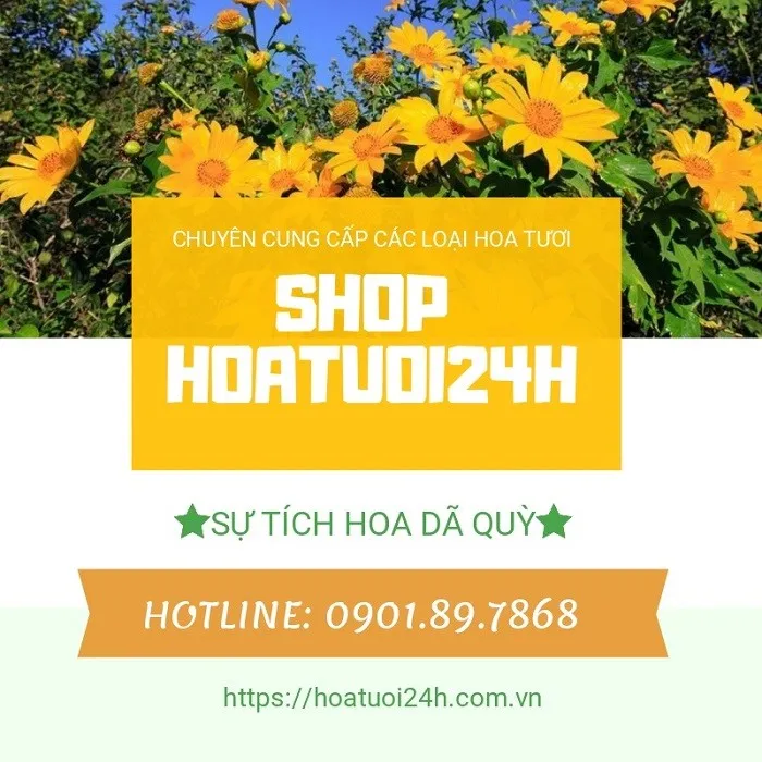 Hình minh họa câu chuyện sự tích hoa dã quỳ Đà Lạt, tình yêu bi tráng của K'lang và H'limh.