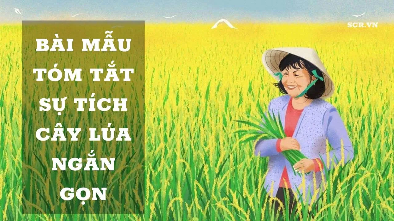 Tuyển tập các mẫu tóm tắt truyền thuyết dân gian Việt Nam, bao gồm sự tích Mai An Tiêm và Cây Lúa