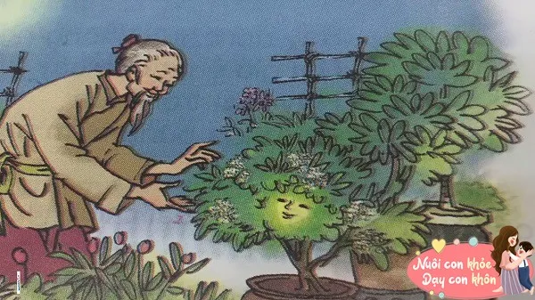 Hình ảnh minh họa cô gái xinh đẹp trong sự tích hoa Dạ Lan, ngồi soi gương chải tóc