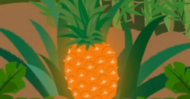 Ảnh minh họa quả dứa.