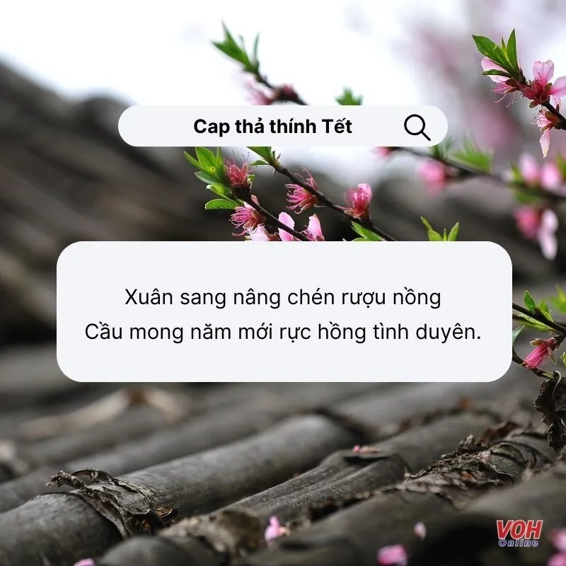 Những câu cap thả thính tết độc đáo, dí dỏm giúp bạn thể hiện cá tính riêng