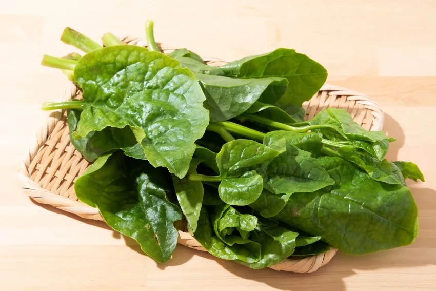 Bổ sung thực phẩm giàu chất xơ hòa tan trong chế độ ăn dặm của trẻ