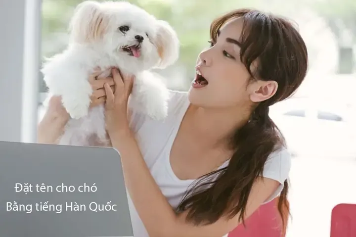 Tên Chó Nhật Bản Hay