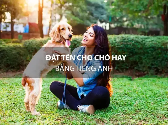 Top 10 Tên Chó Cái Bằng Tiếng Anh Hay Nhất