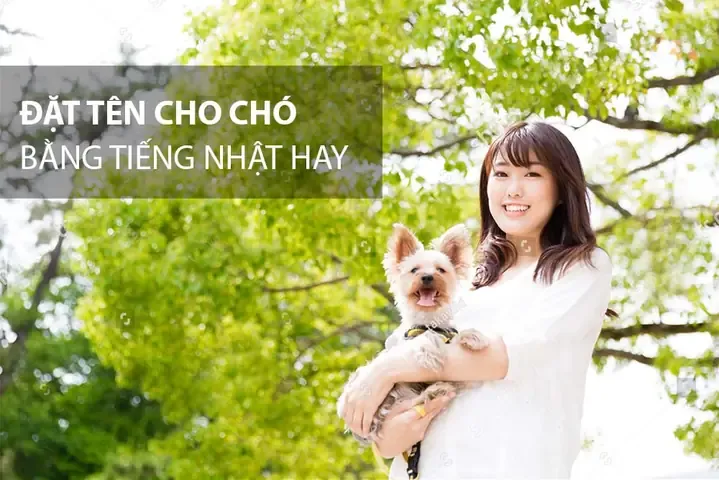 Top 100 Tên Chó Hay Bằng Tiếng Anh